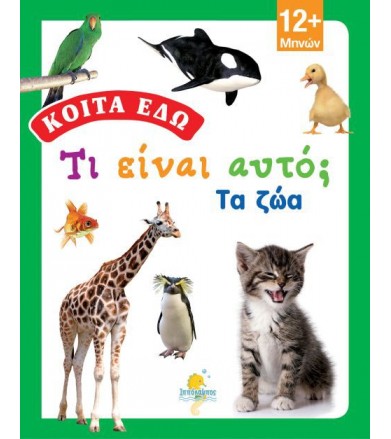 Κοίτα εδώ: Τα ζώα!